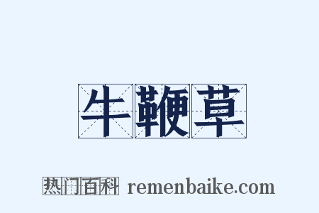 牛鞭草是什么意思的图片